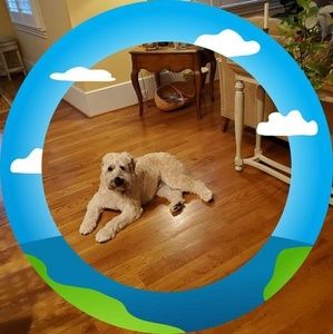 Meet your Posher, Cheryl